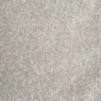 Picture of Soft 'n Silky Blanched Almond Sample