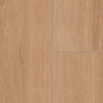 Picture of BARE OAK Sample