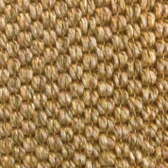 Picture of Sisal Oriental Wall to Wall Carpet