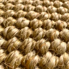 Picture of Sisal Oriental Wall to Wall Carpet