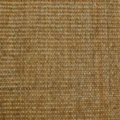 Picture of Sisal Wild Honey Wall to Wall Carpet