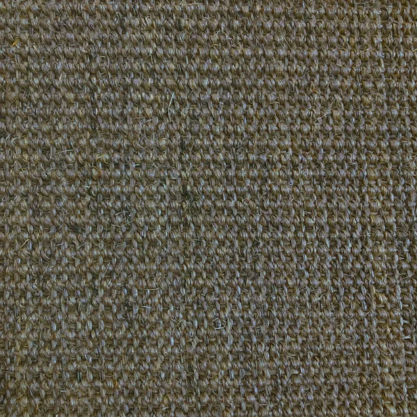 Picture of Sisal Grey Beard Wall to Wall Carpet