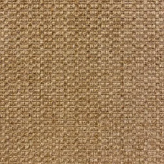 Veld Knotted Grain wall to wall carpet shown flat, a knotted weave in warm oat