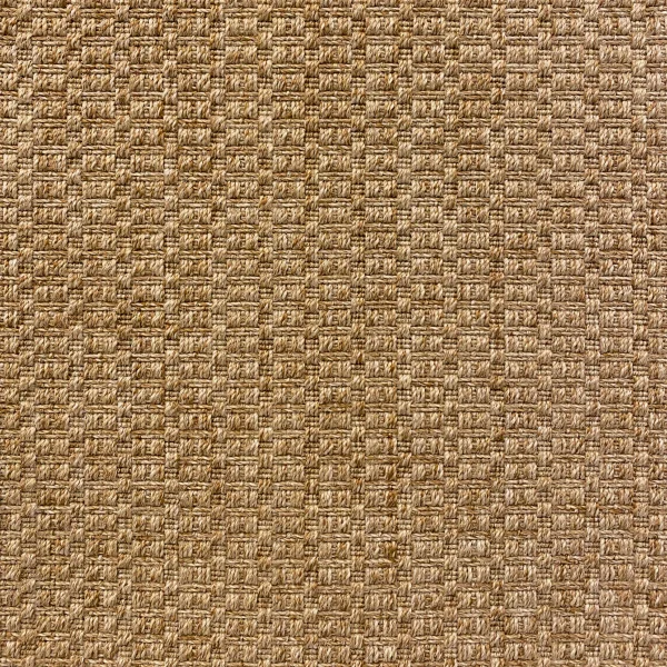 Veld Knotted Grain wall to wall carpet shown flat, a knotted weave in warm oat