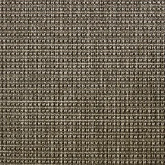 Picture of Panama Taupe Wall to Wall Carpet