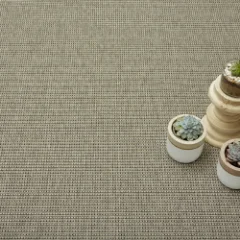 Picture of Panama Taupe Wall to Wall Carpet