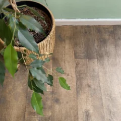 Close-up of Canyon weathered-oak vinyl flooring with a woven plant basket