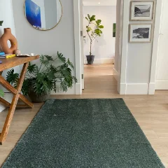 Soft & Silky Sage Green Rug